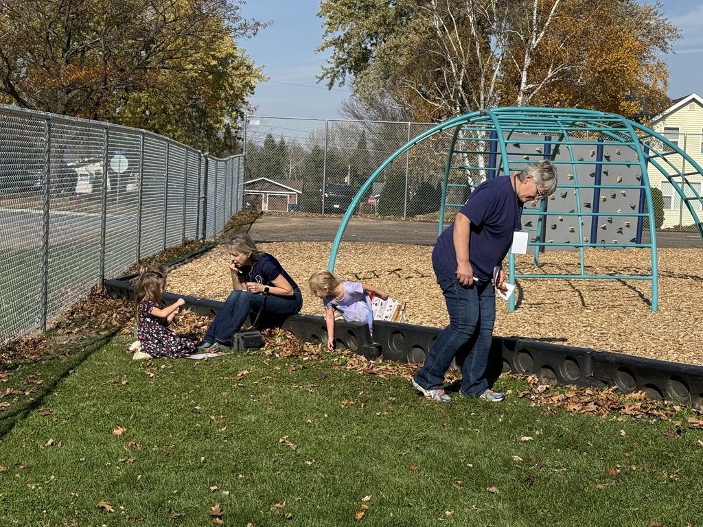 Finding three different types of leaves.