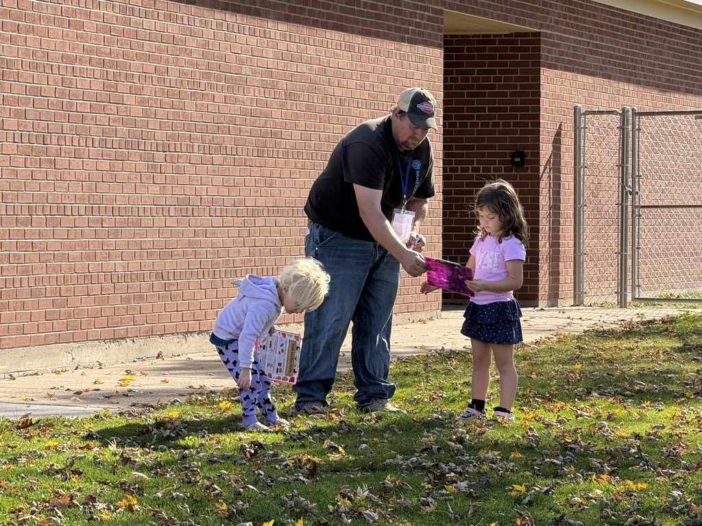 Looking for different types of leaves.