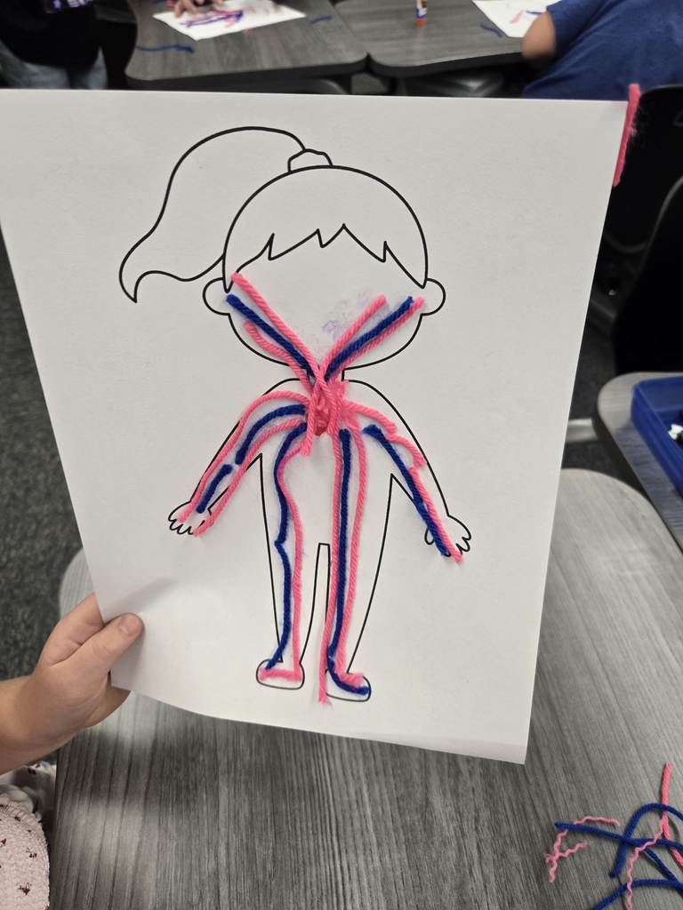 A close-up view of a completed first-grade science project featuring a human body outline on white paper with pink and blue yarn carefully glued to show the circulatory system pumping through the heart, arms, and legs.