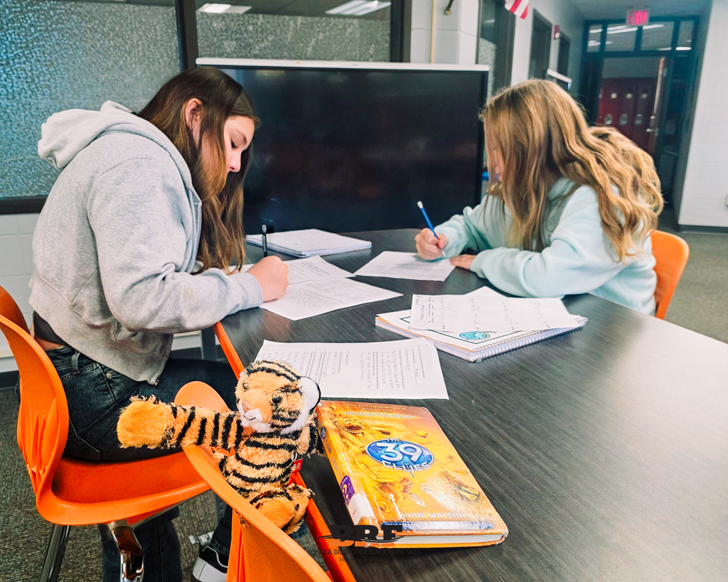 Two students working while a stuffed tiger reads