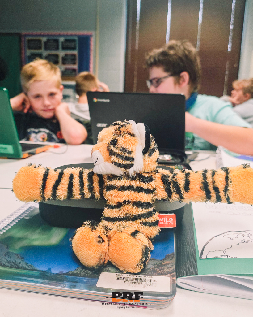 Tiger sits atop some notebooks while students talk behind it