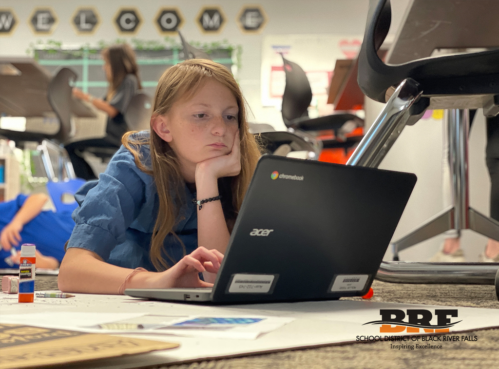 Girl looks at laptop