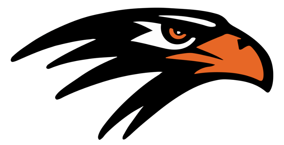 Blackhawk Image
