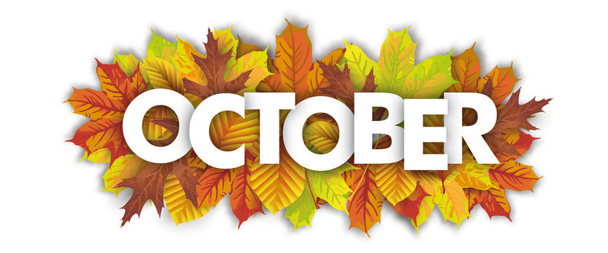 October Newsletter