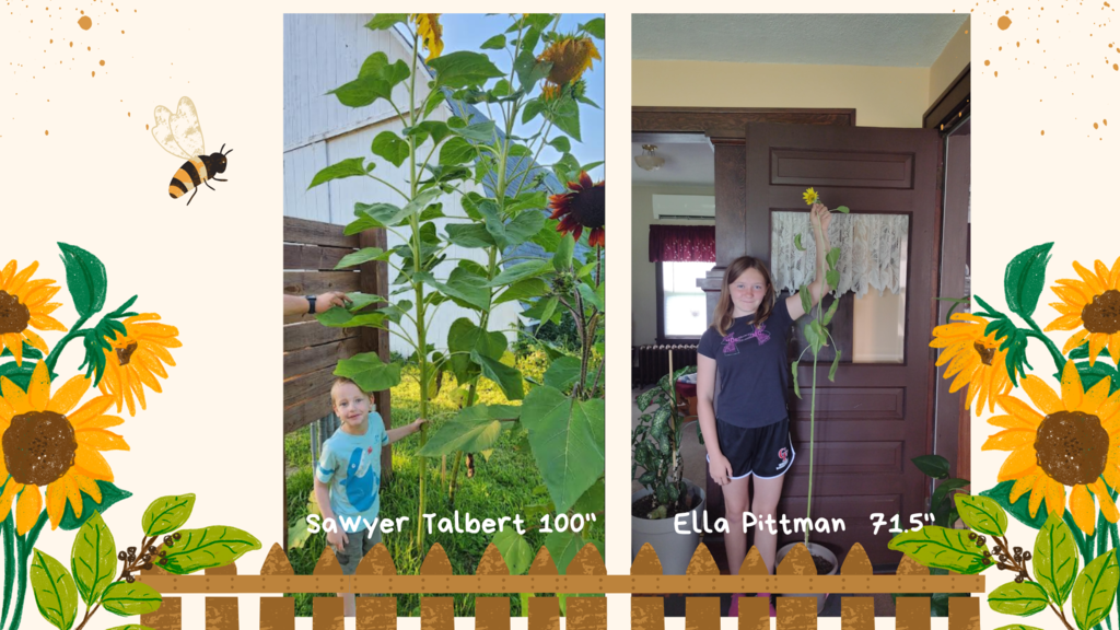 Students with their sunflowers
