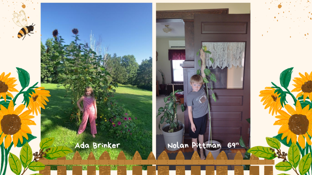 Students with their sunflowers