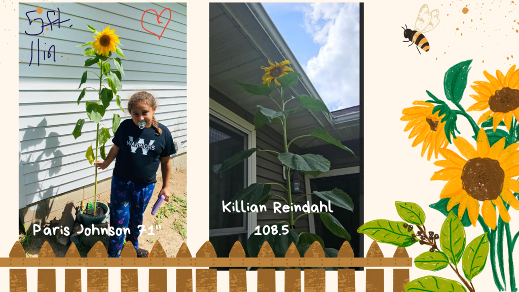 Students with their sunflowers