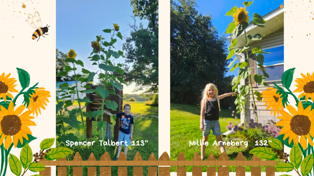 Students with their sunflowers