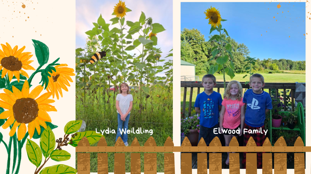 Students with their sunflowers