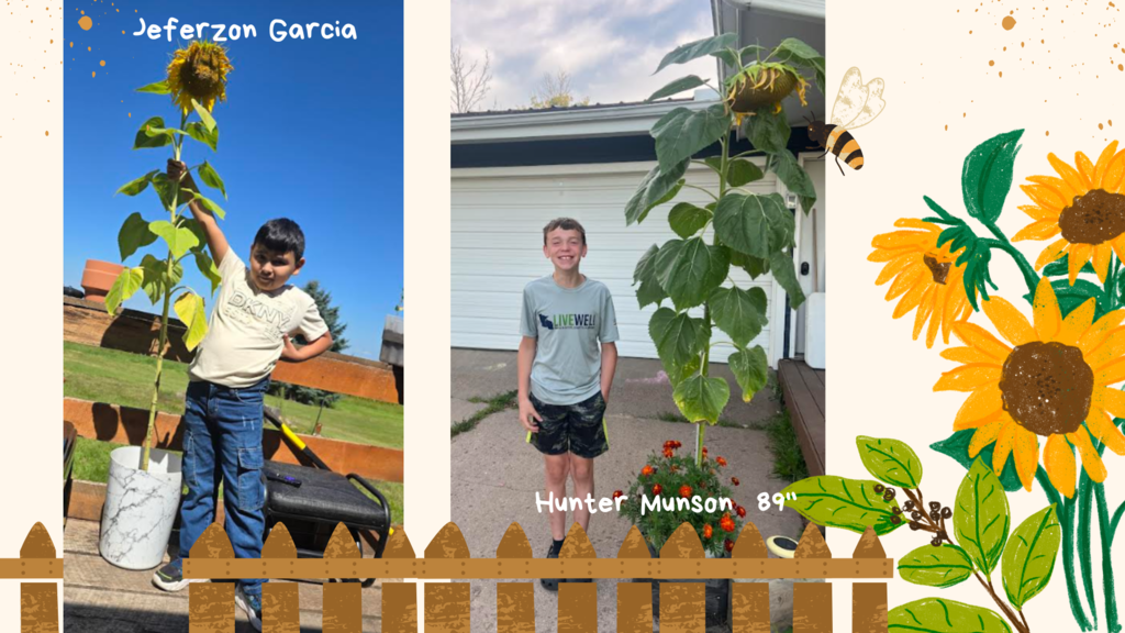Students with their sunflowers