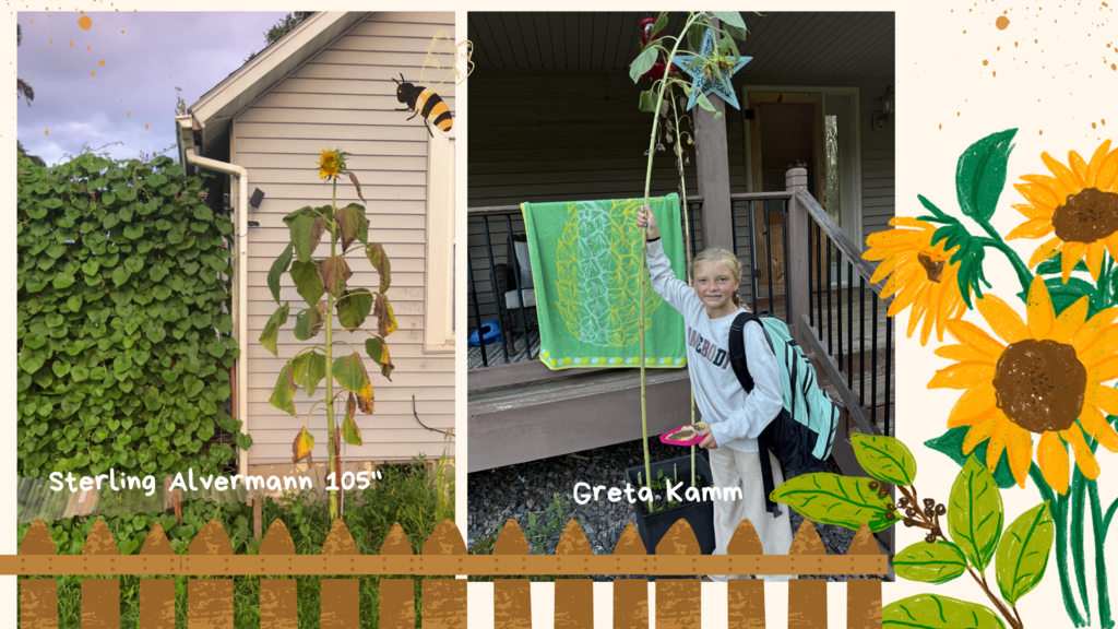 Students with their sunflowers