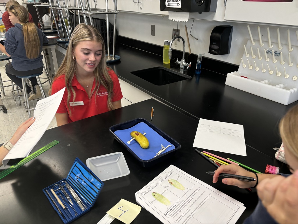 The "Autopsy of a Dill Pickle" lab