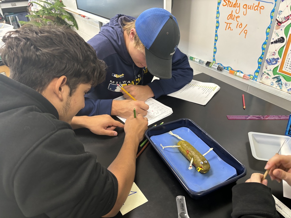 The "Autopsy of a Dill Pickle" lab