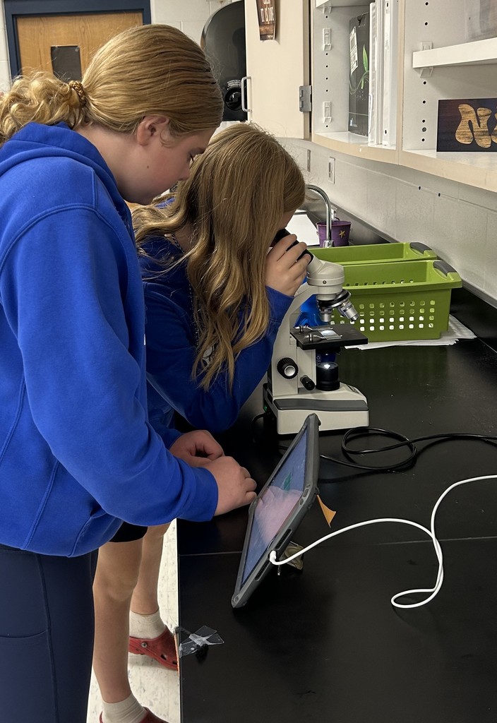 7th Graders learning about microscopes