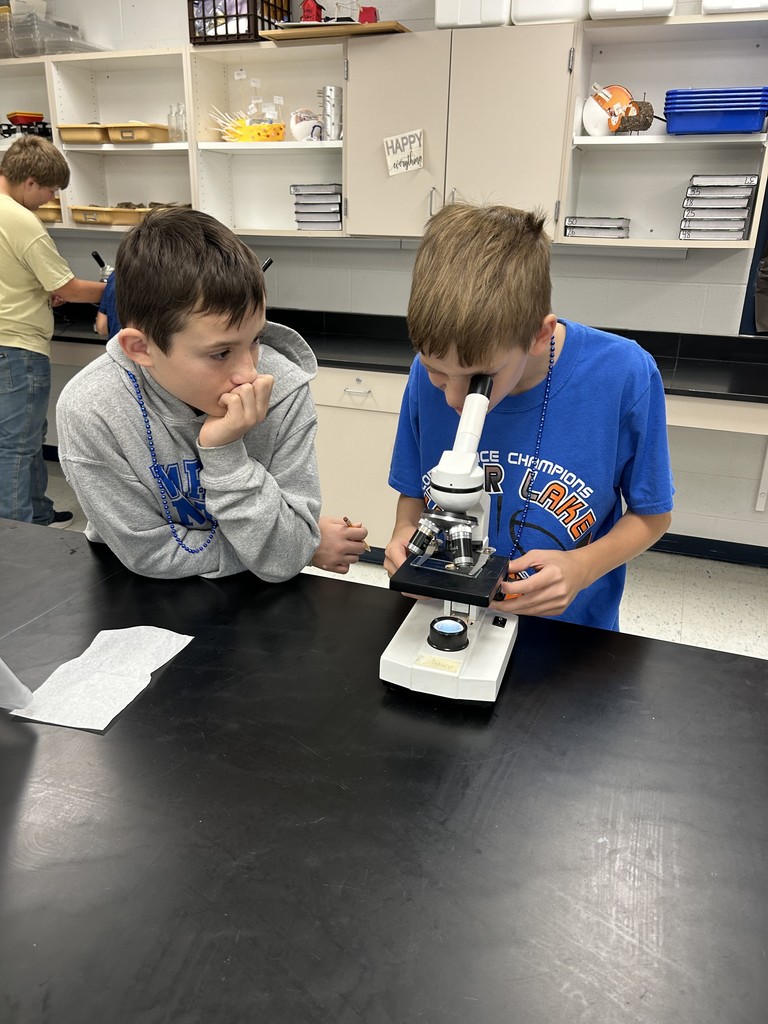 7th Graders learning about microscopes