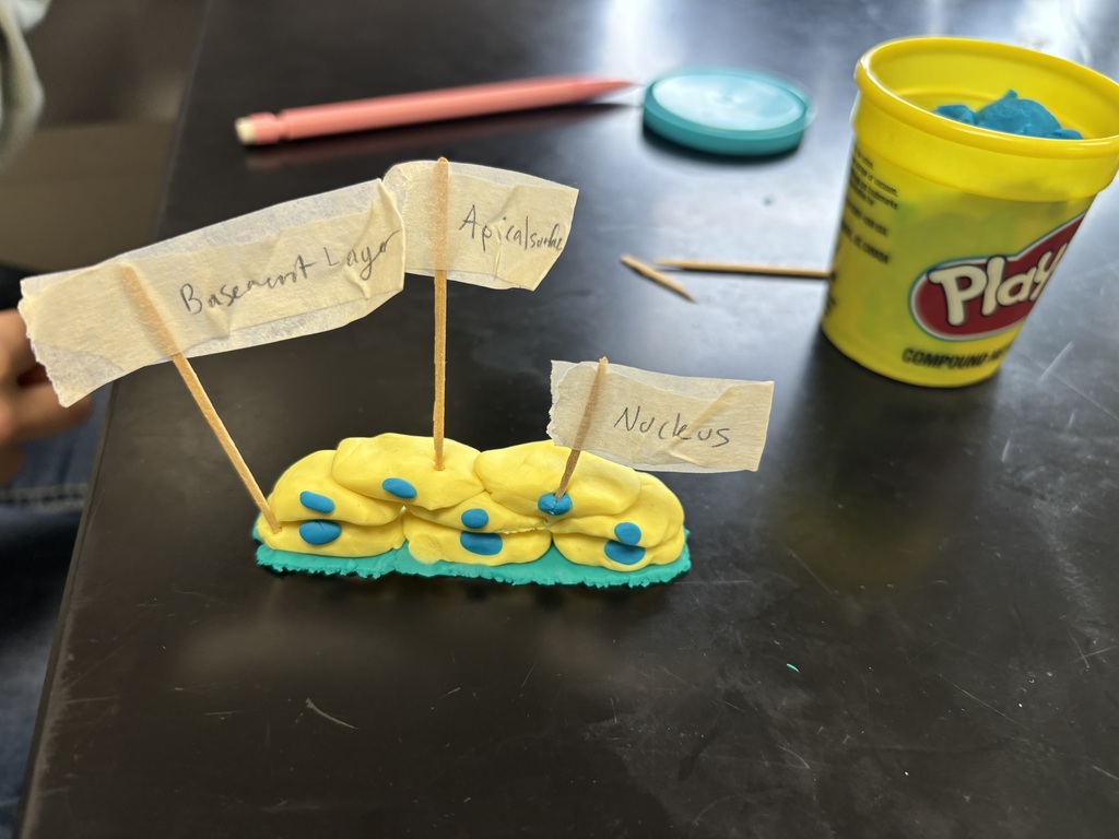 Play-Doh Model 5