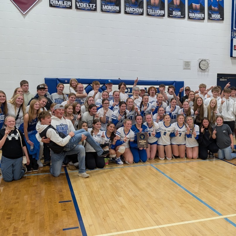 volleyball players and fans celebrating