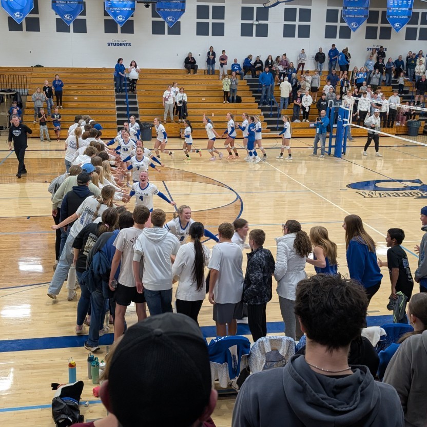 volleyball players celebrating