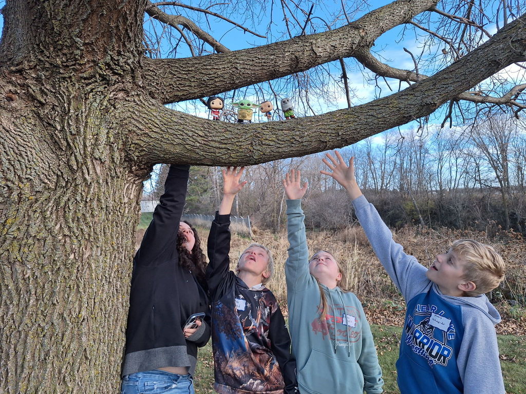 Photography at CESA 11