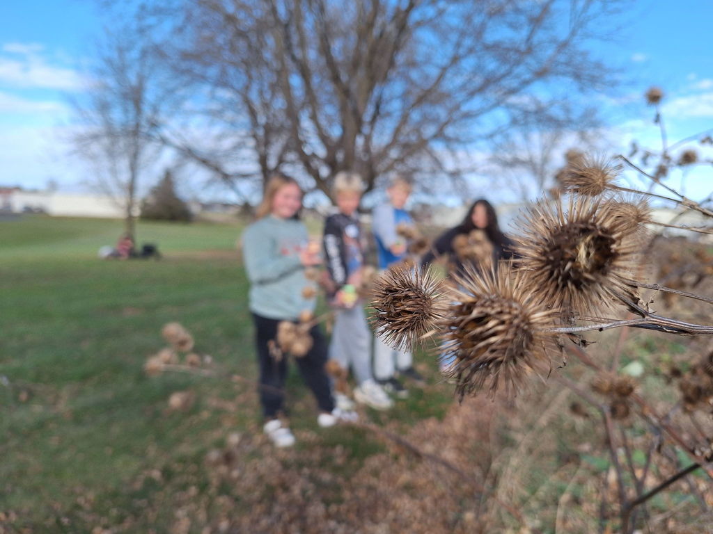 Photography at CESA 11