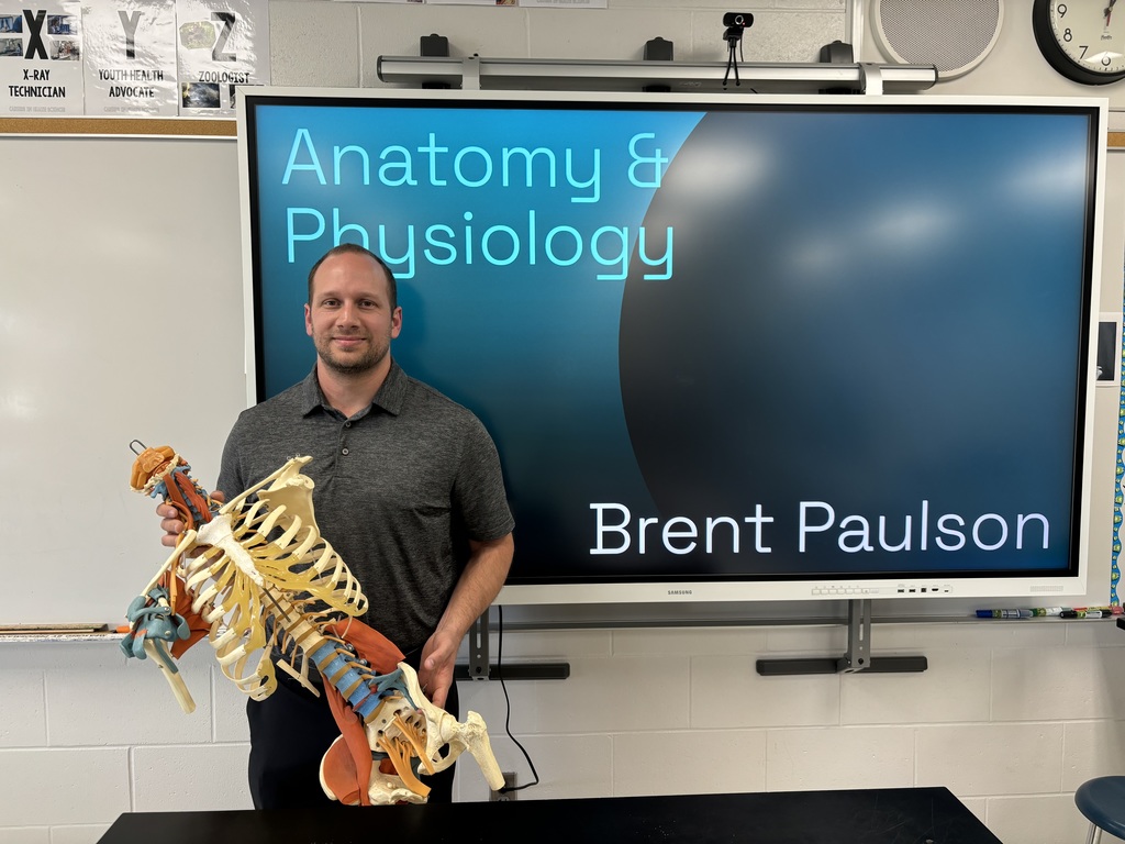 Anatomy presentation