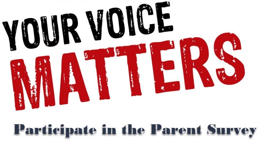 Parent Survey