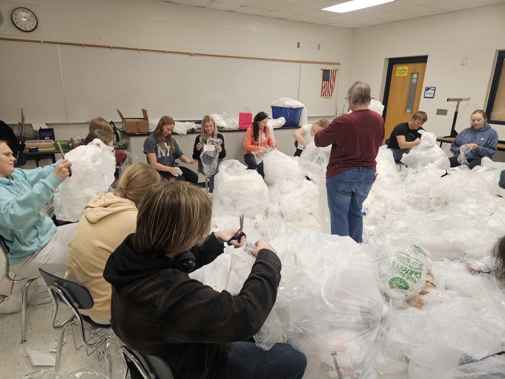 Lions Club Plastic Sorting 2