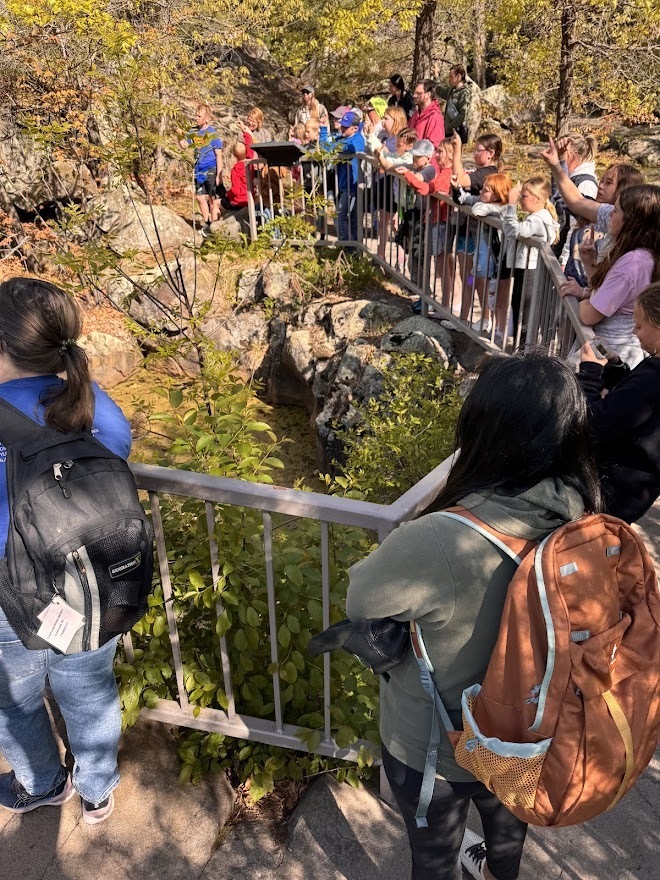 boat tour at Taylors Falls