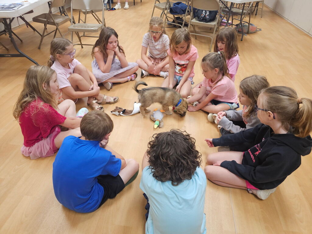 Summer School Week 1