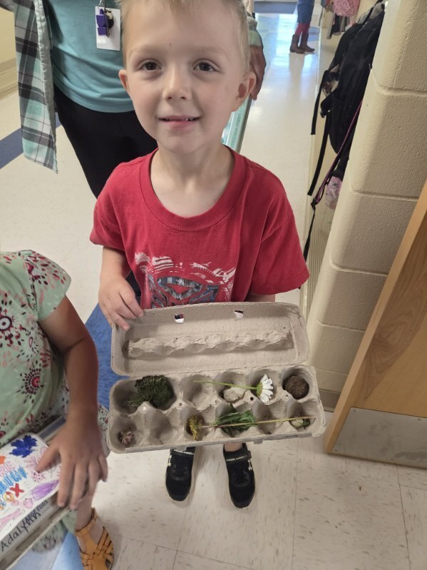 Mrs. Hoyt’s 4K Summer School