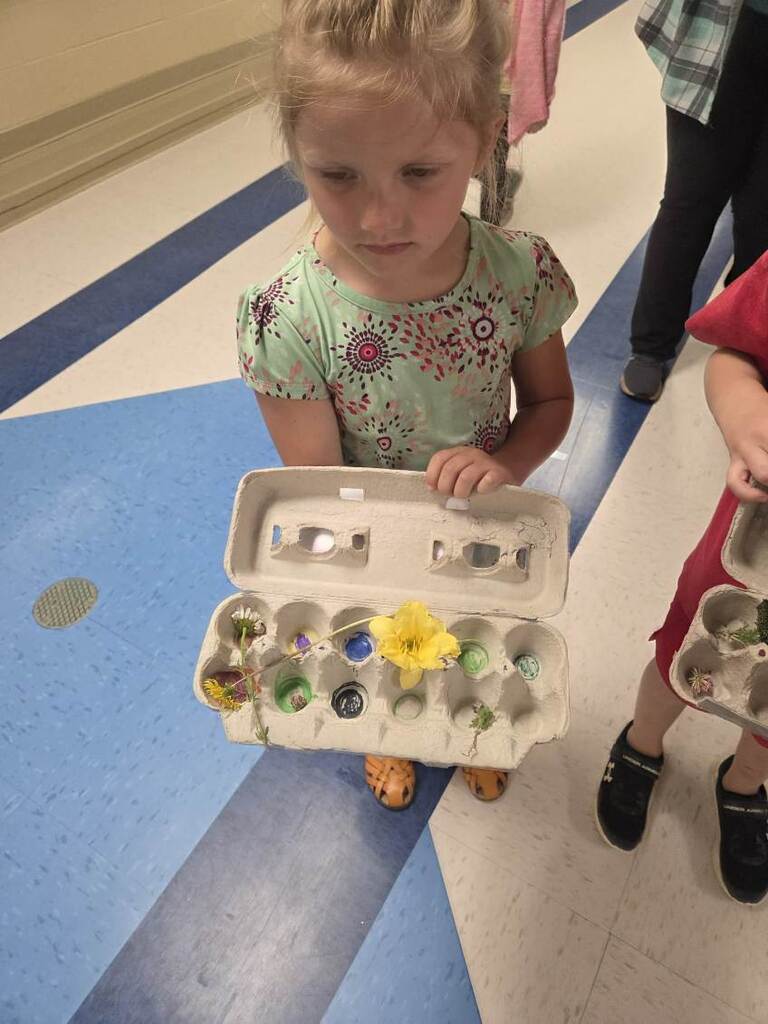 Mrs. Hoyt’s 4K Summer School