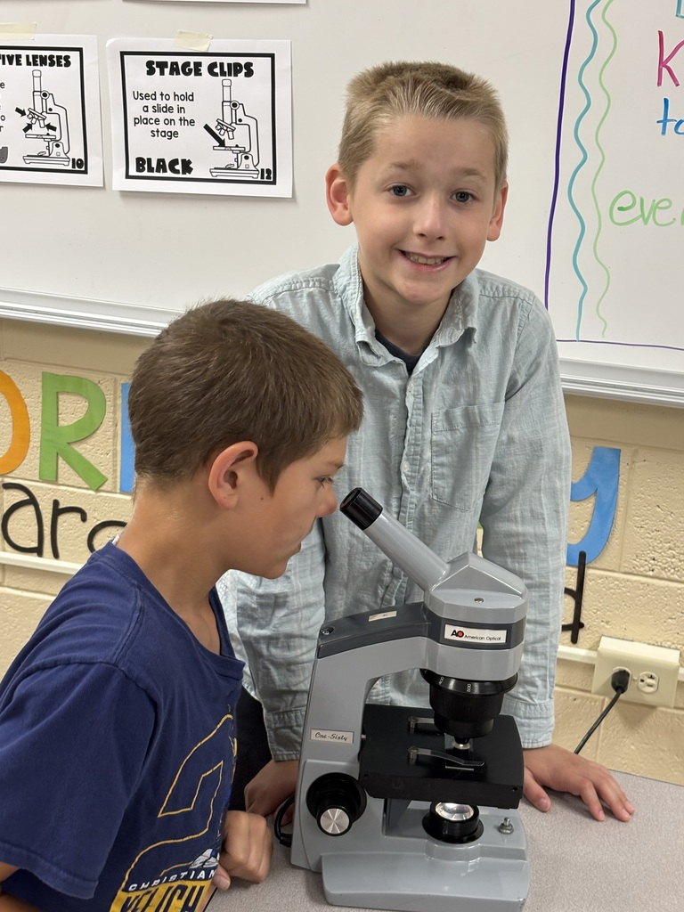 Junior Detectives on the Case!
