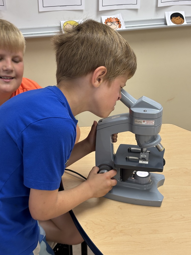 Junior Detectives on the Case!