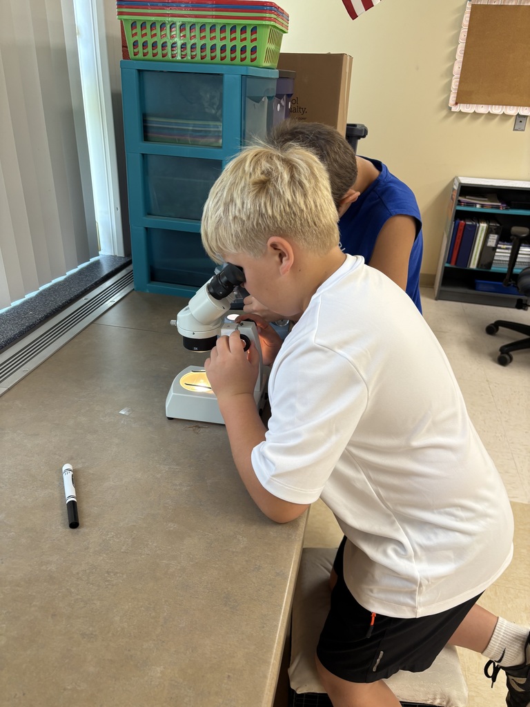 Junior Detectives on the Case!