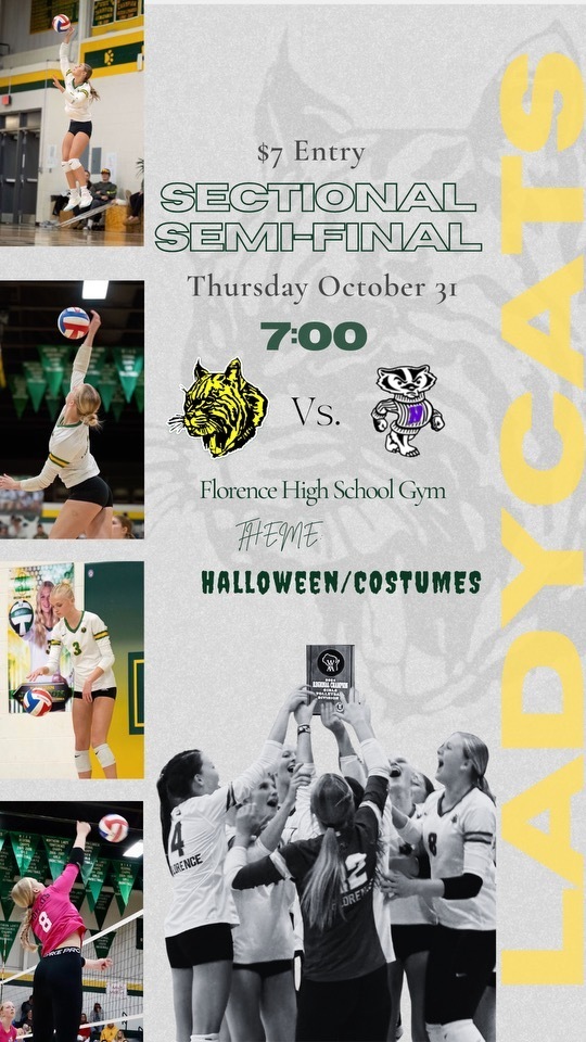 $7 Entry Fee Sectional Semi-Final Game October 31st at 7:00 pm vs Niagara Badgers Theme is Halloween Costumes