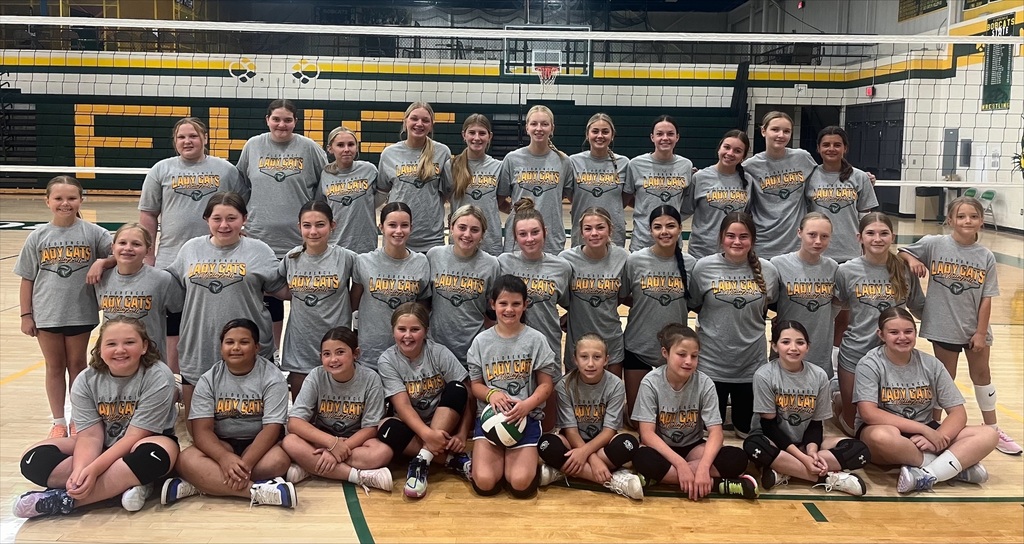 Volleyball Camp