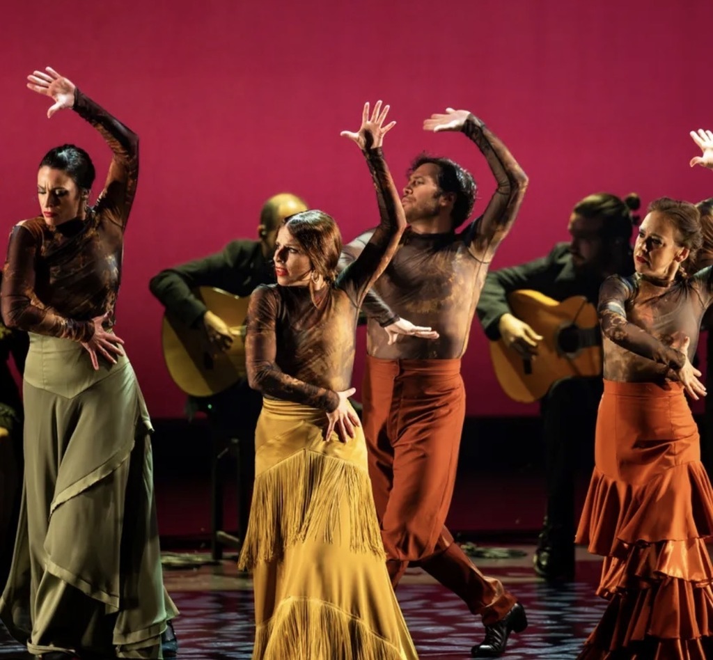 Flameco Viva Carlota Santana Show