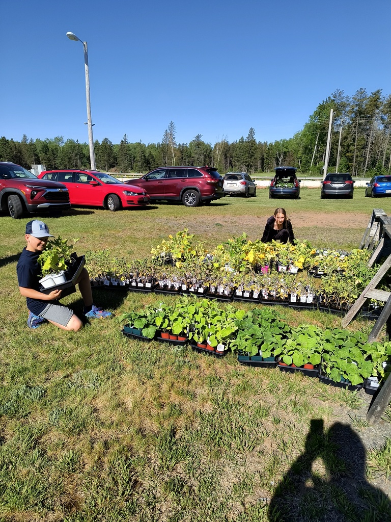 Florence 6th Grade Students getting ready for plant sale