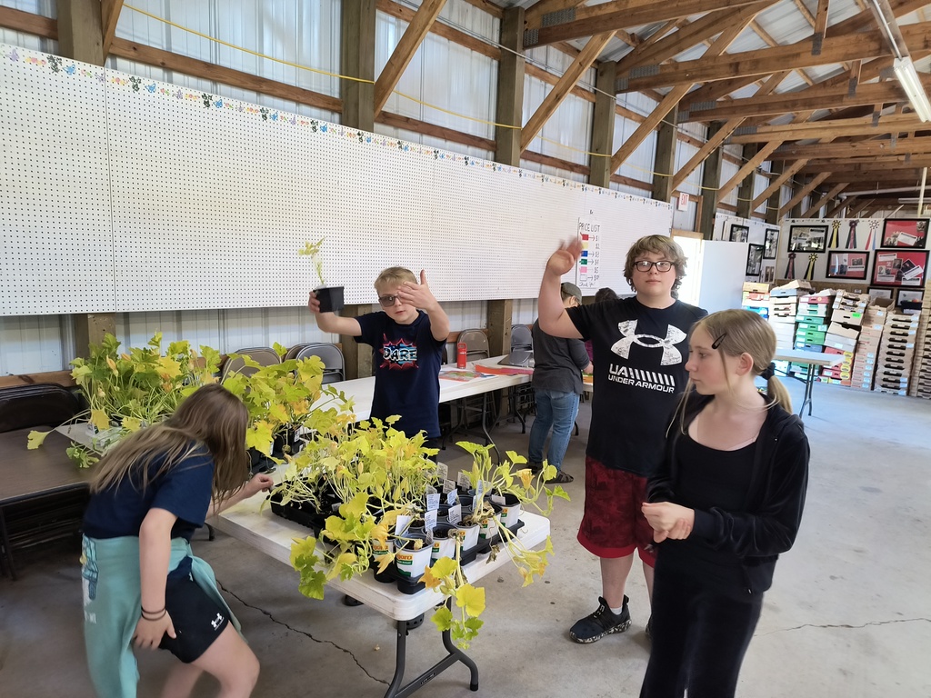 Florence 6th Grade Students getting ready for plant sale