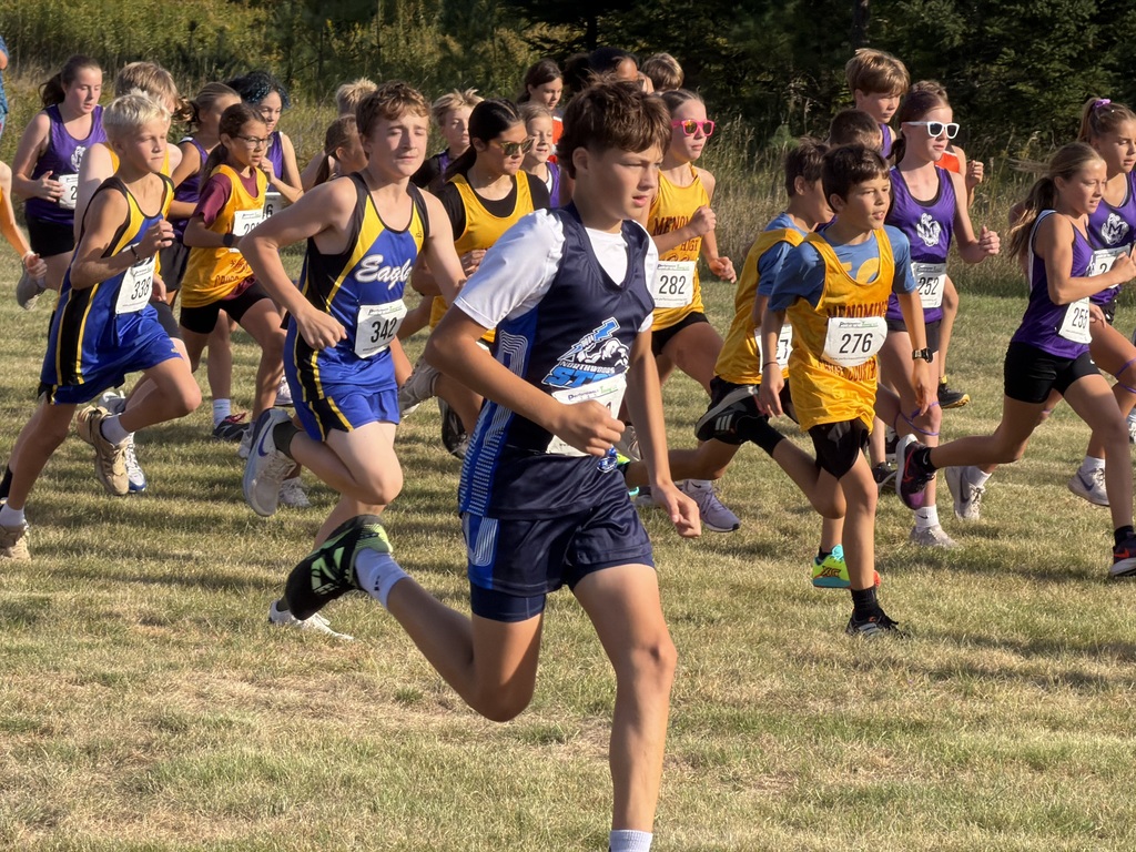 A large pack of youth cross-country runners sprinting mid-race across an open grassy field under bright sunlight. In the foreground, a boy wearing a navy blue and white "Northwoods Storm" jersey leads the group. Surrounding him are other athletes wearing various colorful team uniforms, including blue and yellow "Eagles" tank tops, yellow "Menominee" jerseys, and purple tank tops, all wearing race bibs.   