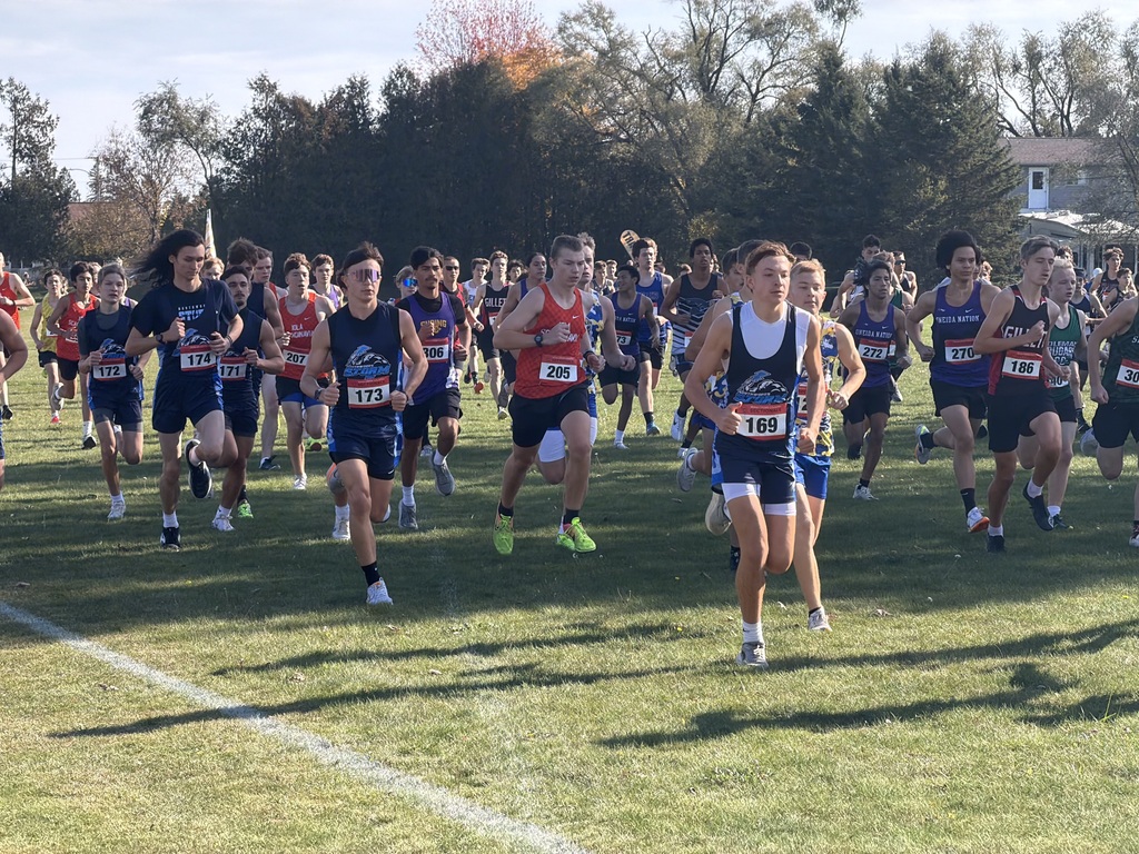 A large group of high school cross-country athletes running together across a grassy field under sunny skies during a race. The runners are wearing various team singlets with race bibs pinned to the front, with trees and foliage filling the background.