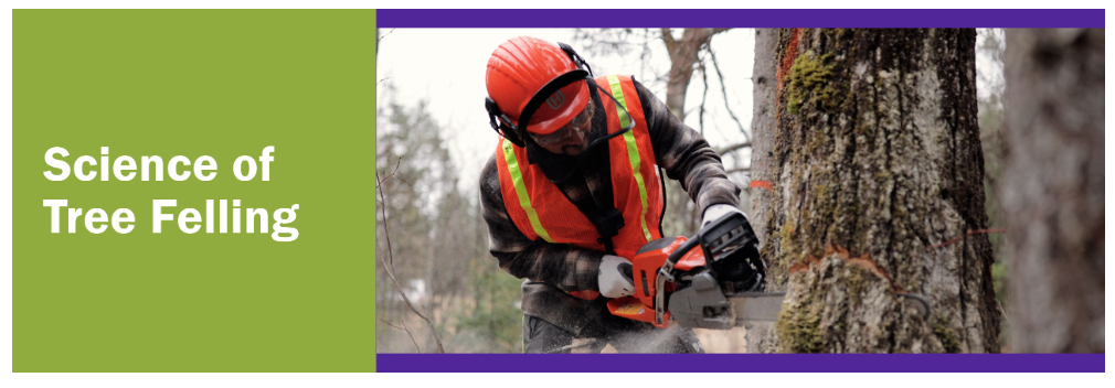 Science of Tree Felling
