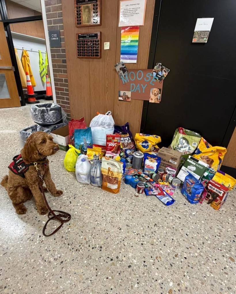 The Food Drive at Luther was an incredible success! 🥫 Thanks to your generosity, we collected close to 1,000 items for the Food Pantry and the Humane Society. A huge thank you to everyone who donated!