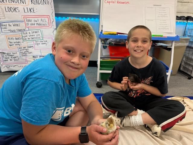 Our 4th grade students have been learning all about hatching and caring for baby chicks, and Mrs. Korth has been sharing her amazing knowledge on everything chick-related throughout the process.Our 4th grade students have been learning all about hatching and caring for baby chicks, and Mrs. Korth has been sharing her amazing knowledge on everything chick-related throughout the process.