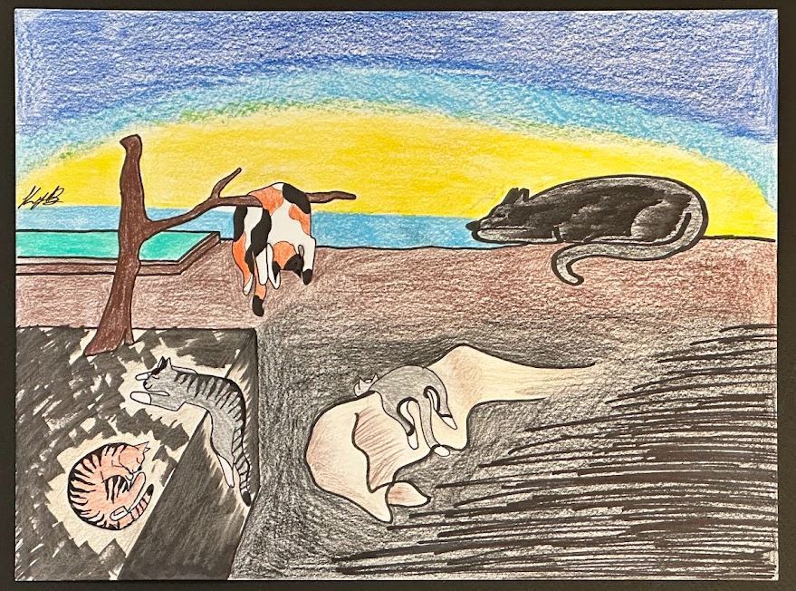 Kelsey Buchanan catscape.