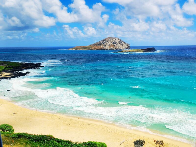 Hawaiian coastline