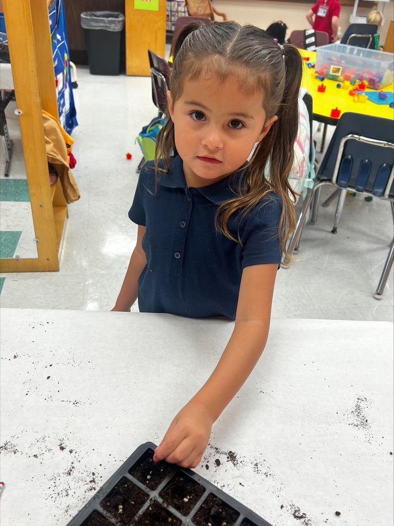 vpk