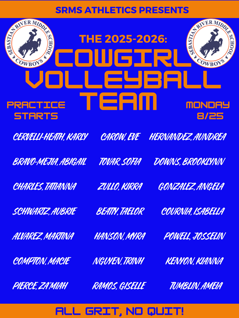 volleyball team
