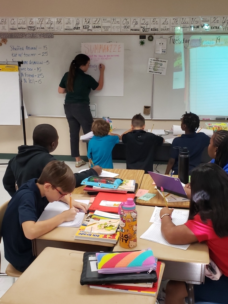 Learning strategies for summarizing.