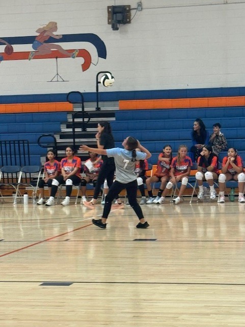 volleyball 1